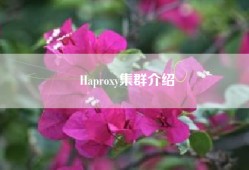 Haproxy集群介绍
