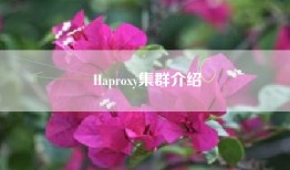 Haproxy集群介绍