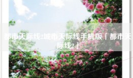 都市天际线2城市天际线手机版「都市天际线2」
