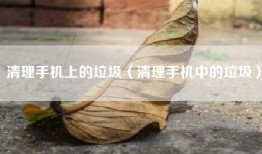 清理手机上的垃圾（清理手机中的垃圾）