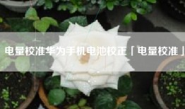 电量校准华为手机电池校正「电量校准」