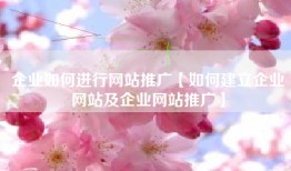 企业如何进行网站推广【如何建立企业网站及企业网站推广】