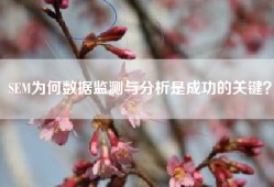 SEM为何数据监测与分析是成功的关键？