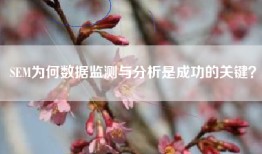 SEM为何数据监测与分析是成功的关键？