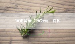 铁路系统“铁饭碗”岗位