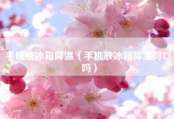 手机放冰箱降温（手机放冰箱降温可以吗）