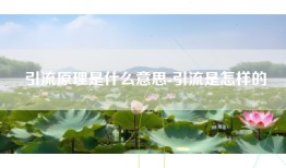 引流原理是什么意思-引流是怎样的