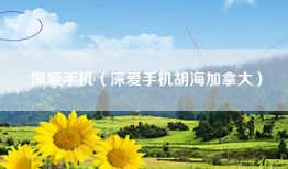 深爱手机（深爱手机胡海加拿大）
