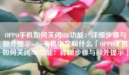 OPPO手机如何关闭HD功能：详细步骤与额外提示volte手机中文叫什么「OPPO手机如何关闭HD功能：详细步骤与额外提示」