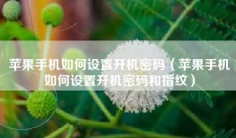 苹果手机如何设置开机密码（苹果手机如何设置开机密码和指纹）