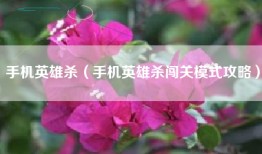 手机英雄杀（手机英雄杀闯关模式攻略）