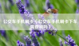 公交车手机刷卡（公交车手机刷卡下车需要刷吗）