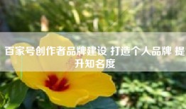 百家号创作者品牌建设 打造个人品牌 提升知名度