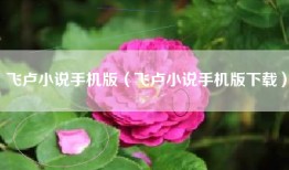 飞卢小说手机版（飞卢小说手机版下载）