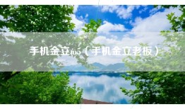 手机金立m5（手机金立老板）