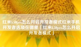 红米k50pro怎么开启开发者模式红米手机开发者选项在哪里「红米k50pro怎么开启开发者模式」