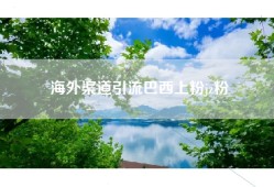 海外渠道引流巴西上粉jz粉