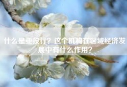 什么是亚投行？这个机构在区域经济发展中有什么作用？