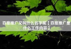 百度推广又叫什么名字呢【百度推广是什么工作内容】