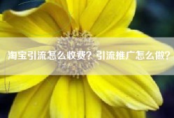 淘宝引流怎么收费？引流推广怎么做？