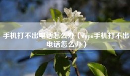 手机打不出电话怎么办（oppo手机打不出电话怎么办）