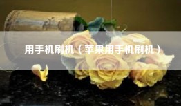 用手机刷机（苹果用手机刷机）