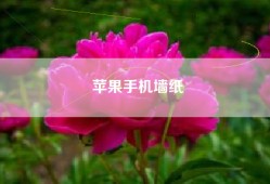 苹果手机墙纸