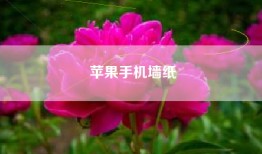苹果手机墙纸