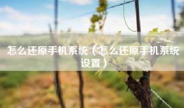 怎么还原手机系统（怎么还原手机系统设置）