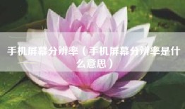手机屏幕分辨率（手机屏幕分辨率是什么意思）