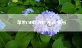 苹果CMS哔哩哔哩APP模板