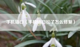 手机插口（手机插口松了怎么修复）
