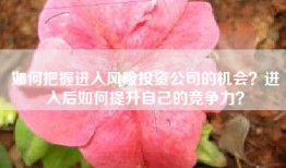 如何把握进入风险投资公司的机会？进入后如何提升自己的竞争力？