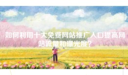 如何利用十大免费网站推广入口提高网站流量和曝光度？