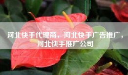 河北快手代理商，河北快手广告推广，河北快手推广公司