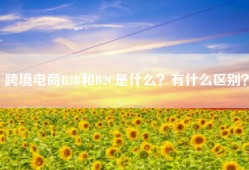 跨境电商B2B和B2C是什么？有什么区别？