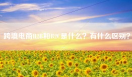 跨境电商B2B和B2C是什么？有什么区别？