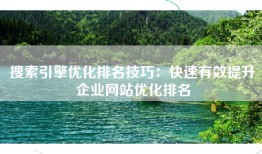 搜索引擎优化排名技巧：快速有效提升企业网站优化排名