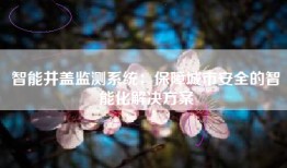 智能井盖监测系统：保障城市安全的智能化解决方案
