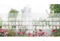 微信微粒贷怎么贷款？微信开通微贷的步骤看这里手机微信怎么借钱「微信微粒贷怎么贷款？微信开通微贷的步骤看这里」