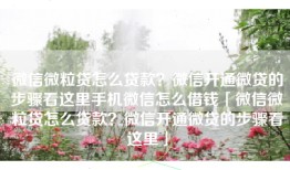 微信微粒贷怎么贷款？微信开通微贷的步骤看这里手机微信怎么借钱「微信微粒贷怎么贷款？微信开通微贷的步骤看这里」