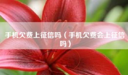 手机欠费上征信吗（手机欠费会上征信吗）