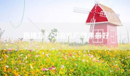 直播怎么引流推广效果最好