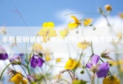 手机密码破解（手机密码破解魔术教学）