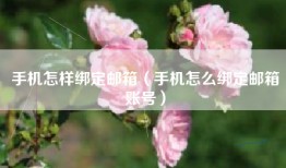 手机怎样绑定邮箱（手机怎么绑定邮箱账号）