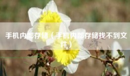 手机内部存储（手机内部存储找不到文件）