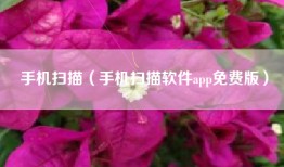 手机扫描（手机扫描软件app免费版）