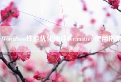 WordPress性能优化插件Perfmatters使用指南