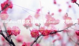 WordPress性能优化插件Perfmatters使用指南