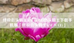 终极街头霸王4(SF IV CE)街头霸王下载手机版「终极街头霸王4(SF IV CE)」